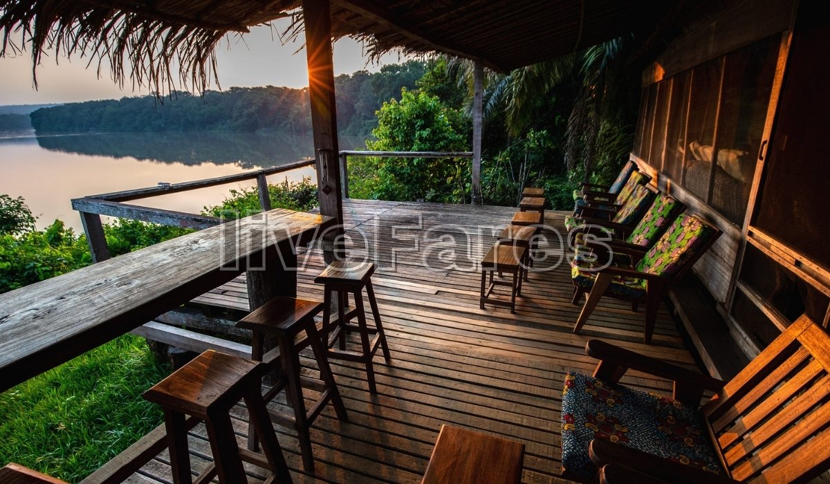 The Dzanga-Sangha Region (Bayanga)