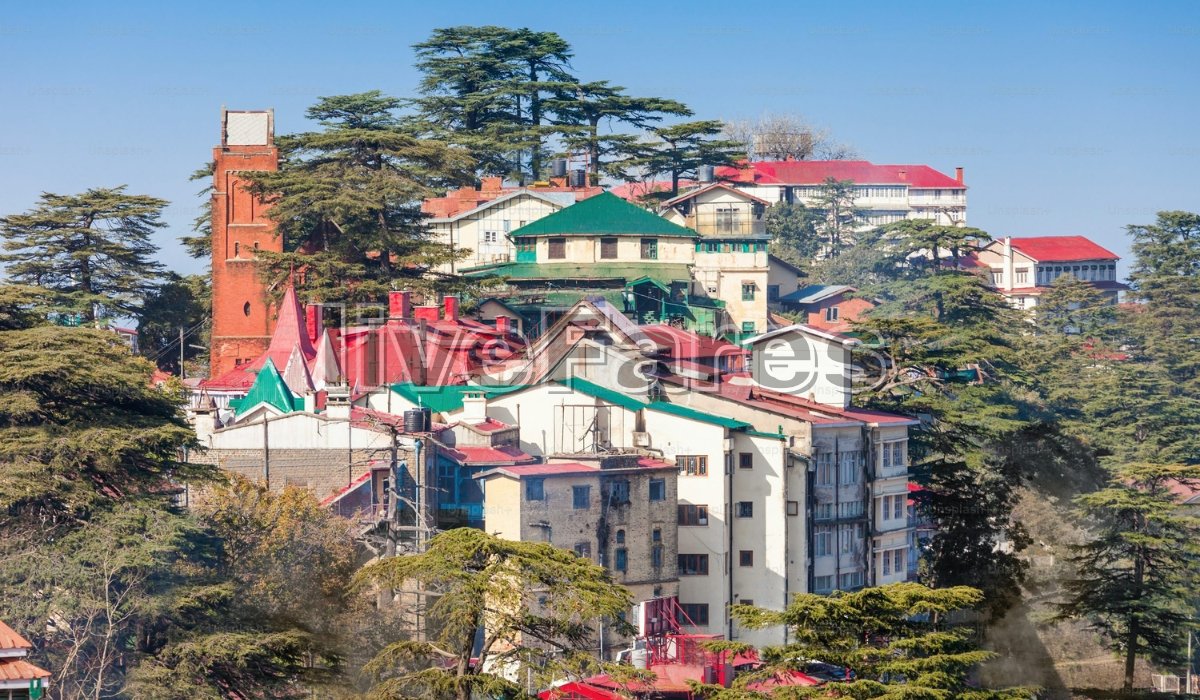 Shimla