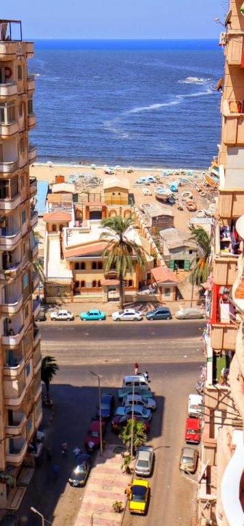 Qaitbay Citadel Haven