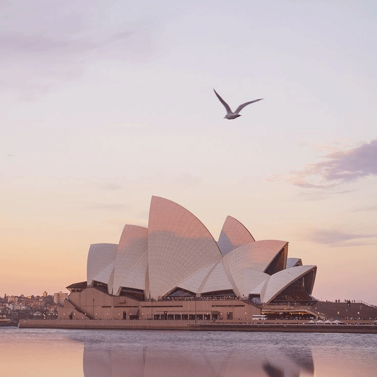 Sydney by livefares